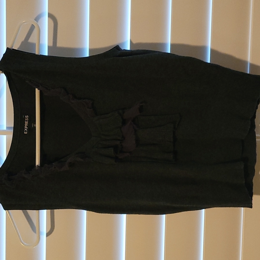 Express womens sweater vest